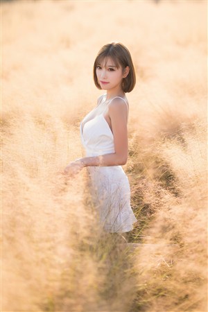 吕良伟版新包青天国语